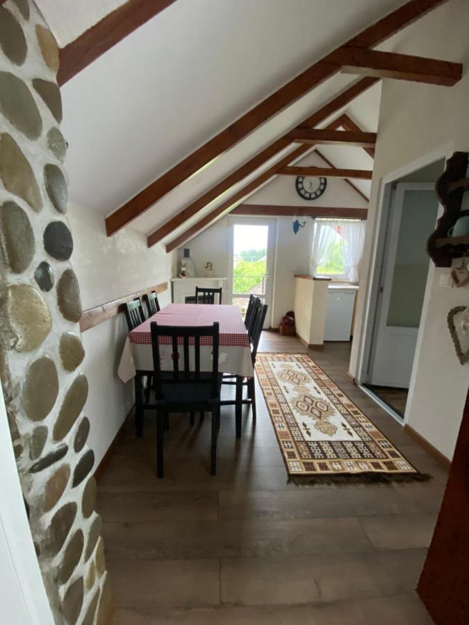 Casa Moldovan Ocna Şugatag Extérieur photo