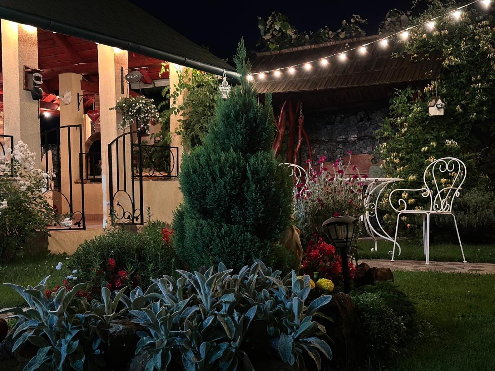 Casa Moldovan Ocna Şugatag Extérieur photo